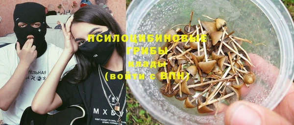 экстази Гусев