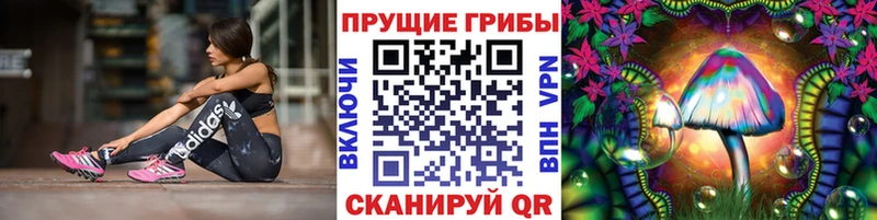 Галлюциногенные грибы GOLDEN TEACHER  Купить  Чебаркуль 